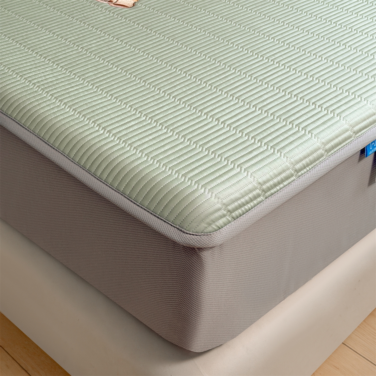 91家纺网 家纺一手货源 找家纺 耐思家纺 2026新款A类高端刺绣pe乙纶冰豆豆席爱兰系列正版授权（提供买家秀）床笠款 青屿熊语-绿