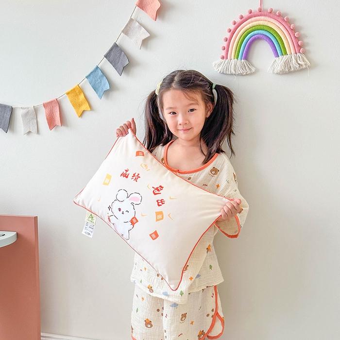 91家纺网 家纺一手货源 找家纺 （总）2026新款卡通儿童枕头婴幼儿园可爱小枕头30*50cm