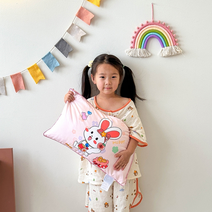 2026新款卡通儿童枕头婴幼儿园可爱小枕头30*50cm 前途似锦