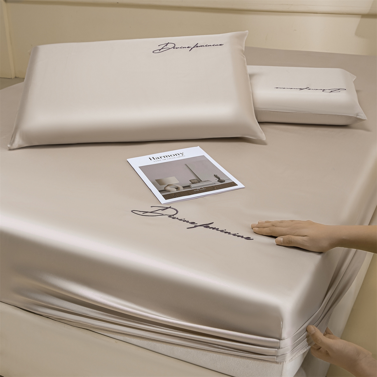 DC 2026新款莱赛尔天丝轻奢刺绣单品床笠 浅茶