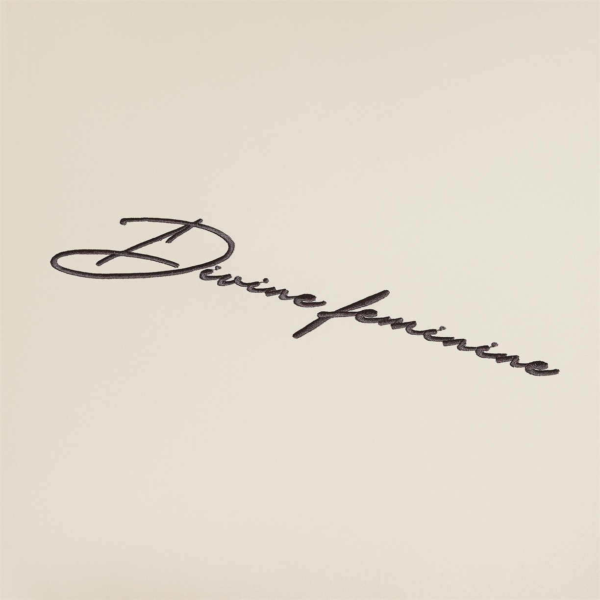 91家纺网 家纺一手货源 找家纺 DC 2026新款莱赛尔天丝轻奢刺绣单品床单 元气白桃