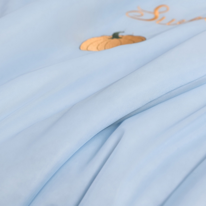91家纺网 家纺一手货源 找家纺 妮恒美家纺 2026春夏新款凉感丝床盖夏被夏凉被空调被四件套 小南瓜-海蓝灰