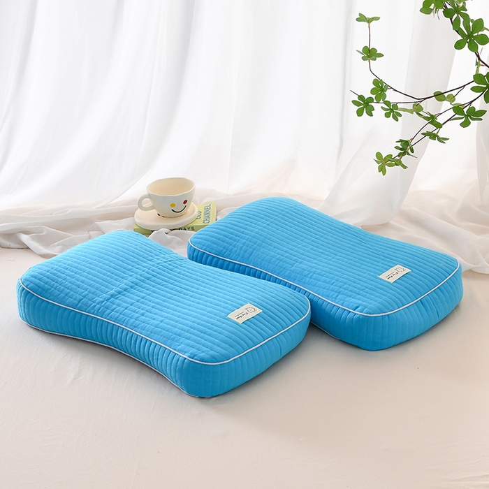 莉迪娅 2026新款枕芯全棉韩式砂洗全荞麦枕枕头枕芯 韩式砂洗浅蓝色