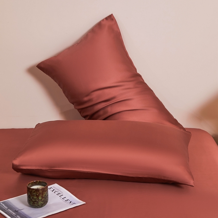 雅萱家纺 2026新款60s天丝枕套单品枕套枕套单件 60s天丝暖茶色