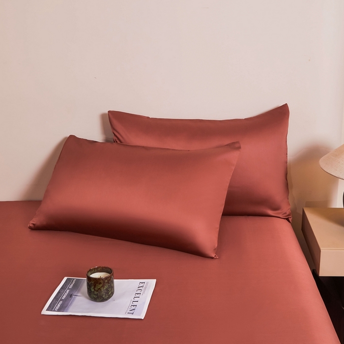 91家纺网 家纺一手货源 找家纺 雅萱家纺 2026新款60s天丝枕套单品枕套枕套单件 60s天丝暖茶色