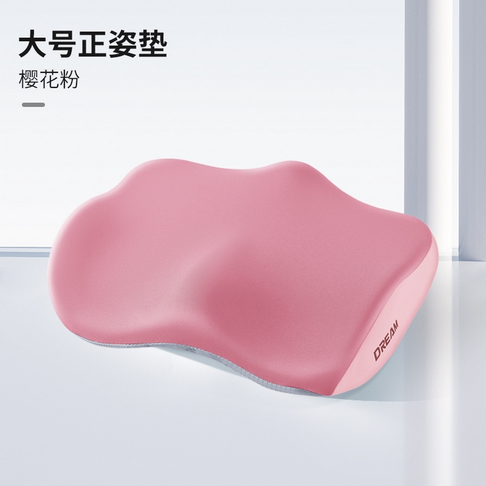 91家纺网 家纺一手货源 找家纺 （总）仁宇枕业 2026新款新品枕头枕芯柔顺丝学生上班趴睡午睡午休记忆头枕记忆坐垫2件套