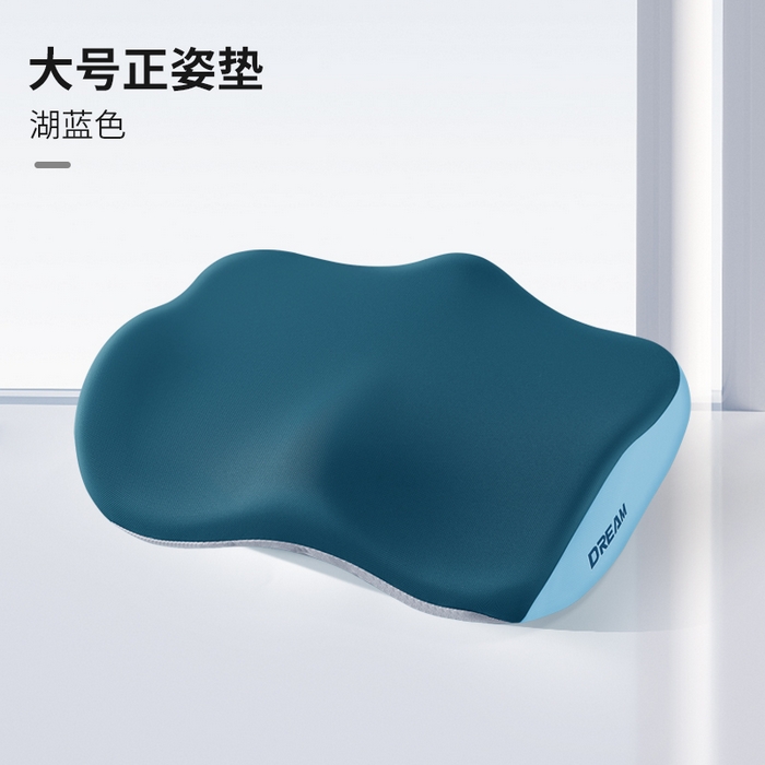 91家纺网 家纺一手货源 找家纺 （总）仁宇枕业 2026新款新品枕头枕芯柔顺丝学生上班趴睡午睡午休记忆头枕记忆坐垫2件套