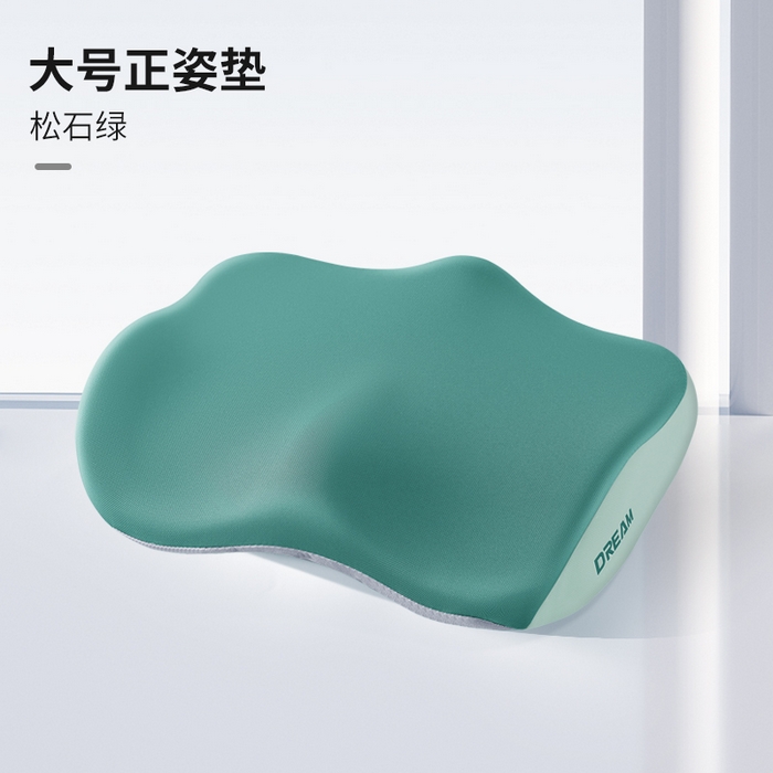 91家纺网 家纺一手货源 找家纺 （总）仁宇枕业 2026新款新品枕头枕芯柔顺丝学生上班趴睡午睡午休记忆头枕记忆坐垫2件套