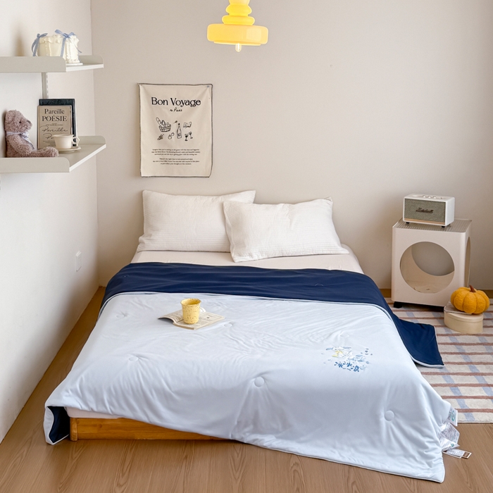 （总）亿莱鑫 2026新款针织凉感丝双感夏凉被 空调被 被子夏被