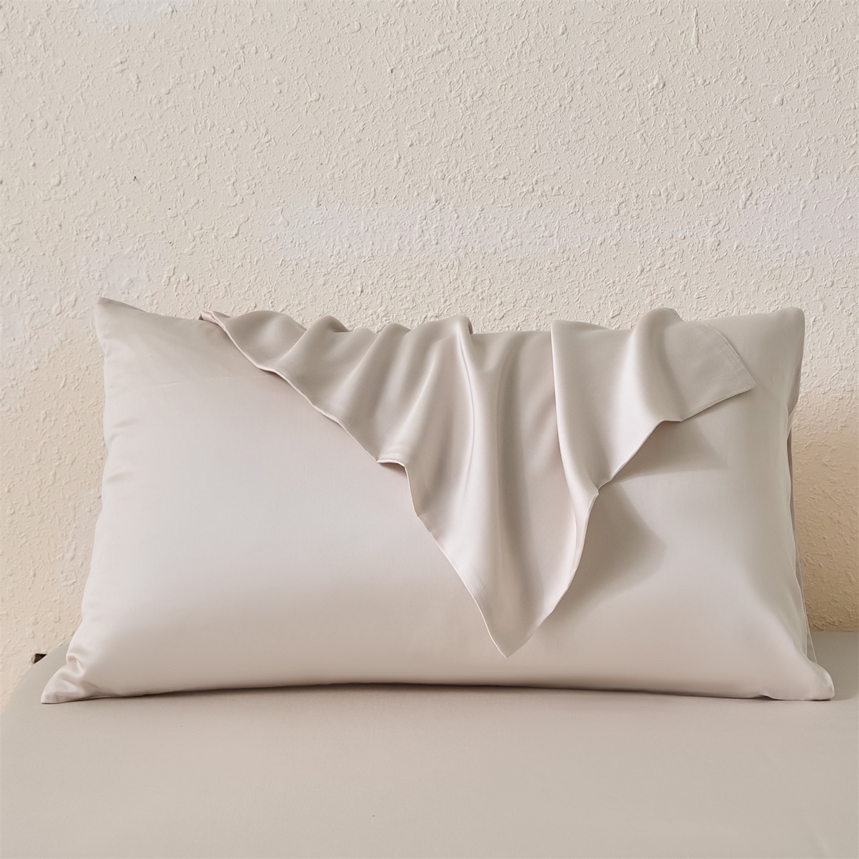 91家纺网 家纺一手货源 找家纺 （总）DC 2026新款莱赛尔天丝纯色枕套