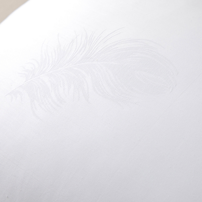 91家纺网 家纺一手货源 找家纺 （总）九州枕芯 2026新款贡缎提花羽丝枕枕头枕芯