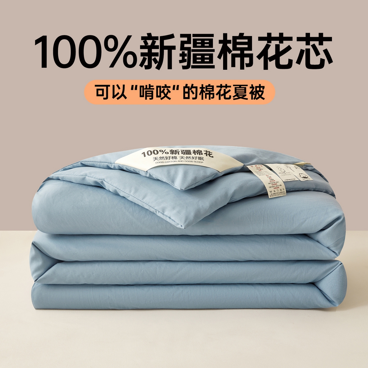 思雅庭 2026新款100%水洗棉新疆棉花被 蓝色