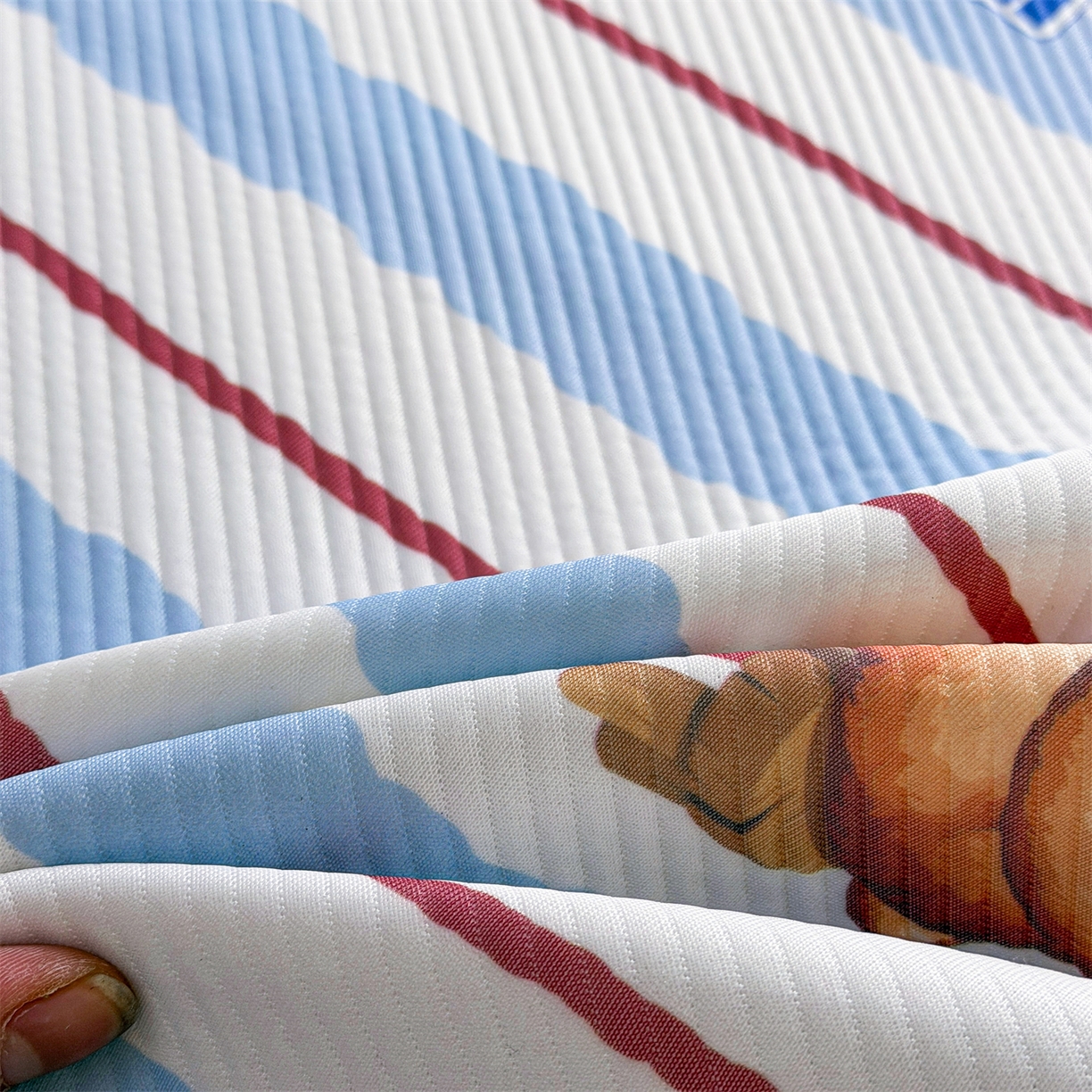 91家纺网 家纺一手货源 找家纺 源舍家纺 2026新款泰迪爱兰系列（正版授权）A类三明治复合印花斜纹豆豆软凉席学生床 泰迪条纹蓝