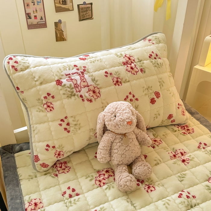 欧妮家纺 2026新款加厚夹棉牛奶绒枕套 水晶-两小无猜