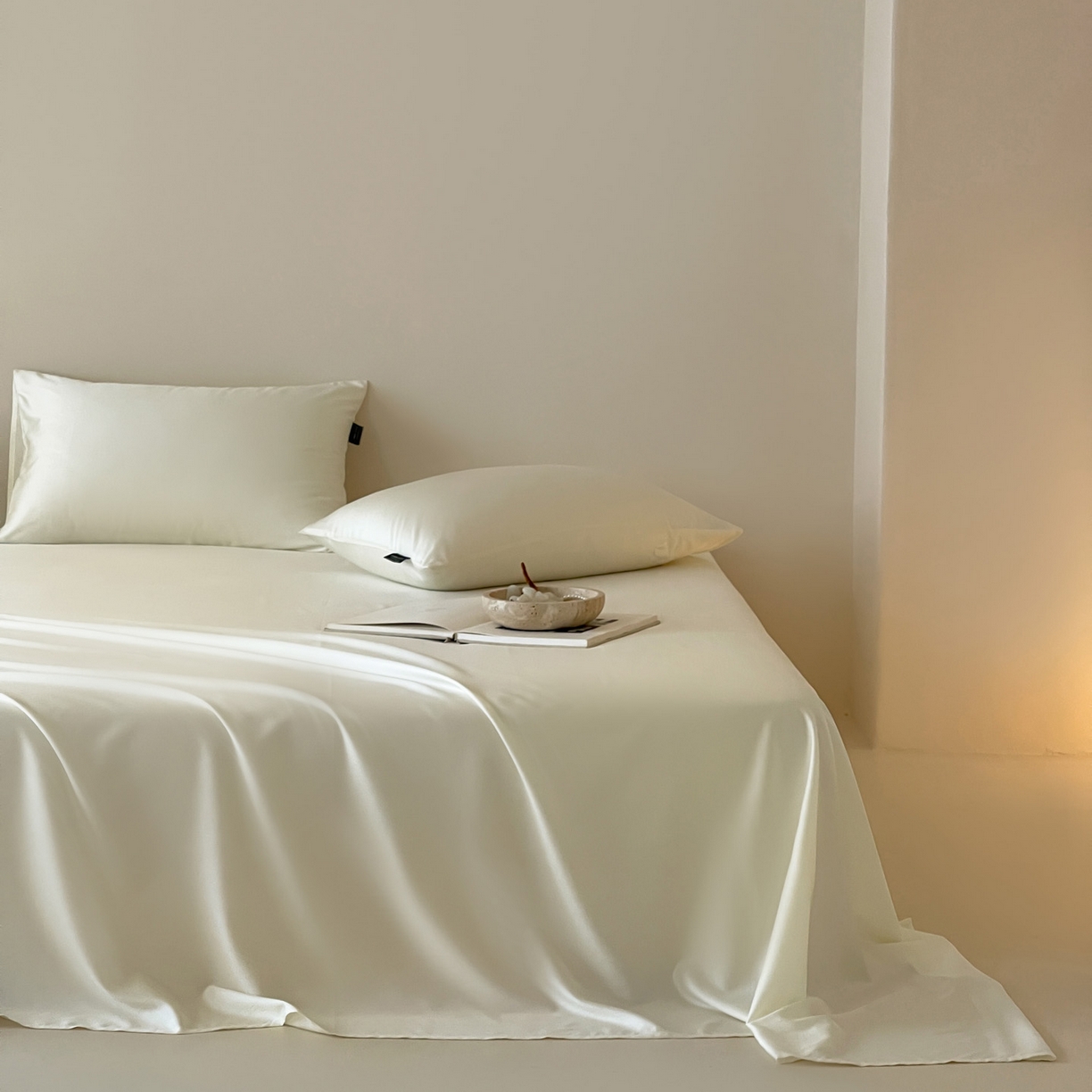 91家纺网 家纺一手货源 找家纺 （总）三味舒屋 2026新款凉风小奢绸60S兰精天丝纯色单品系列-单床单床单单件