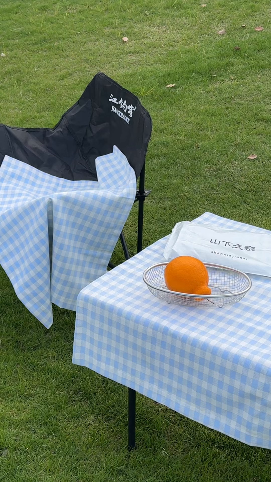 91家纺网 家纺一手货源 找家纺 一隅花田 2026新款竹感纤维格子物语枕套 格子物语·蓝