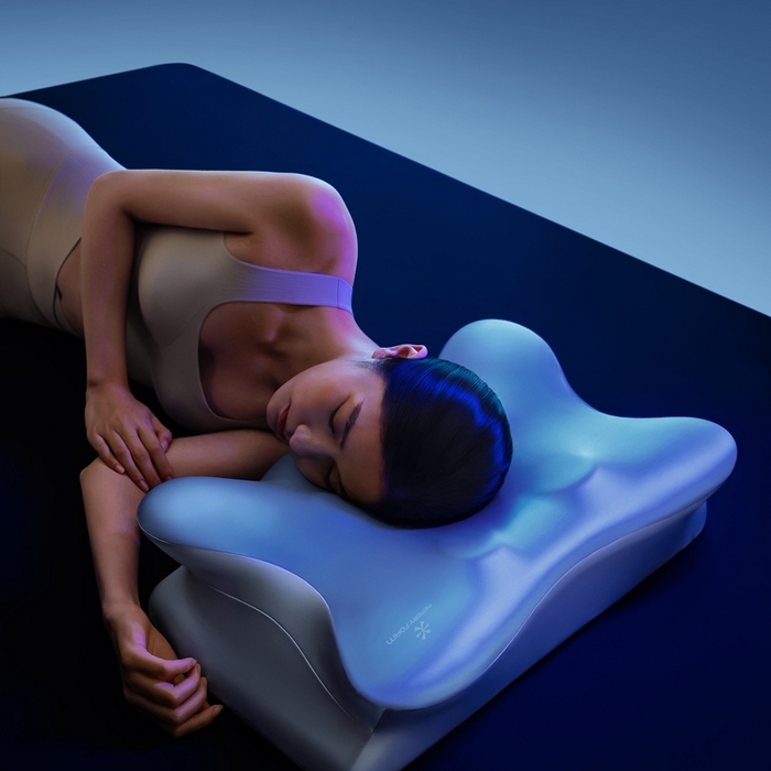 91家纺网 家纺一手货源 找家纺 （总）可恩欣 2026新款零压蝶翼枕枕头枕芯