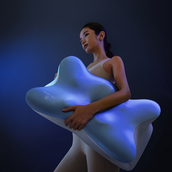 91家纺网 家纺一手货源 找家纺 （总）可恩欣 2026新款零压蝶翼枕枕头枕芯