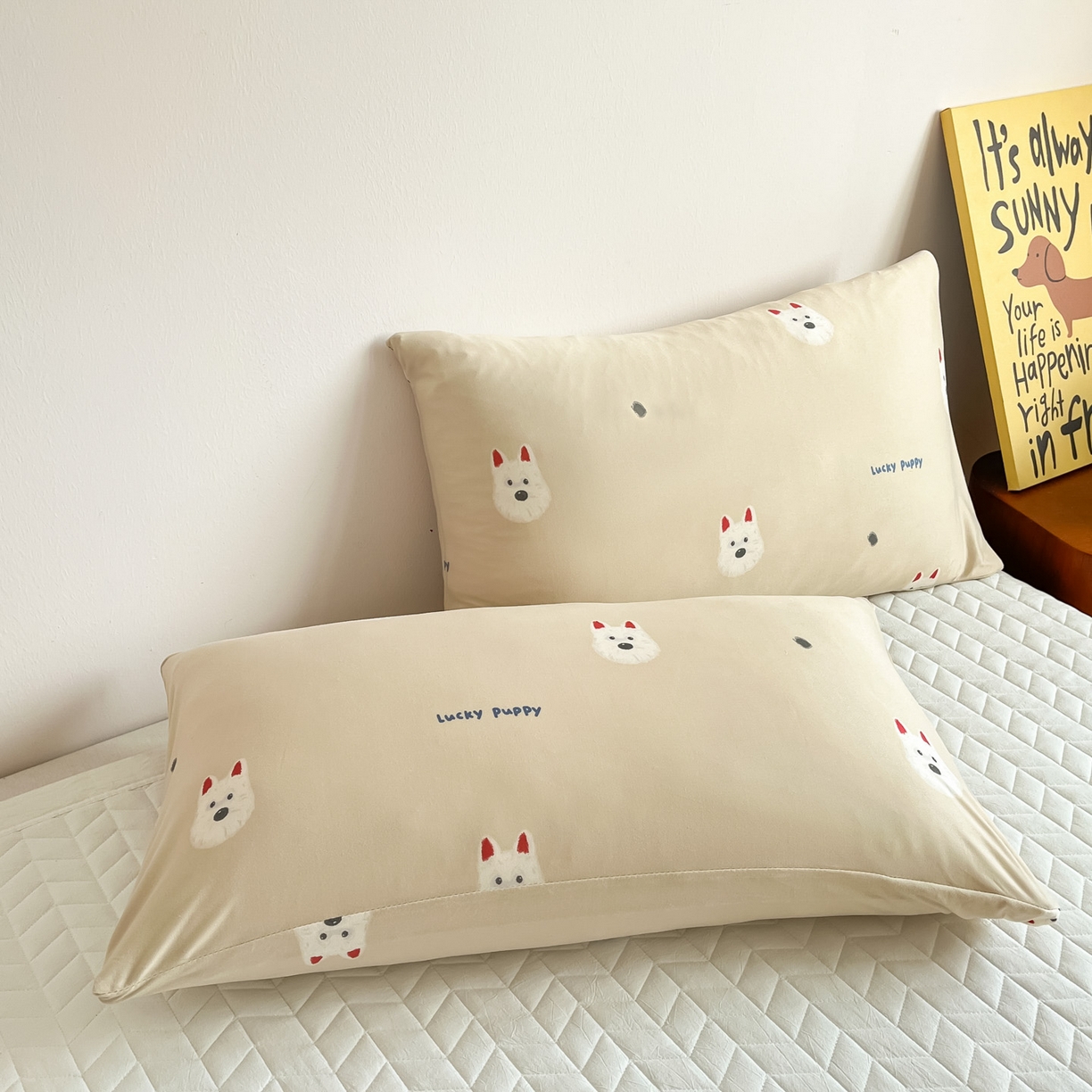 91家纺网 家纺一手货源 找家纺 一加一 2026新款A类牛奶丝针织棉大豆夏被夏凉被空调被 可乐修狗