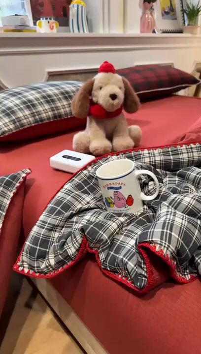 91家纺网 家纺一手货源 找家纺 水墨江南 2026新款云感皱皱纱贝壳边夏被四件套 夏被-布朗尼红