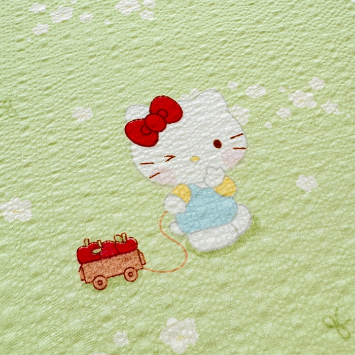 91家纺网 家纺一手货源 找家纺 梵朴 2026新款A类泡芙纱云感邹邹纱双层纱单床单 泡芙KT-绿