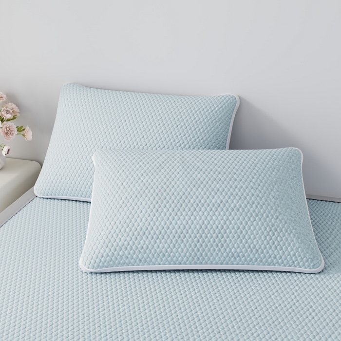 91家纺网 家纺一手货源 找家纺 南北家居 2026新款PE冰豆豆席-床笠款-床席款凉席三件套 幸运小狗-蓝床席款