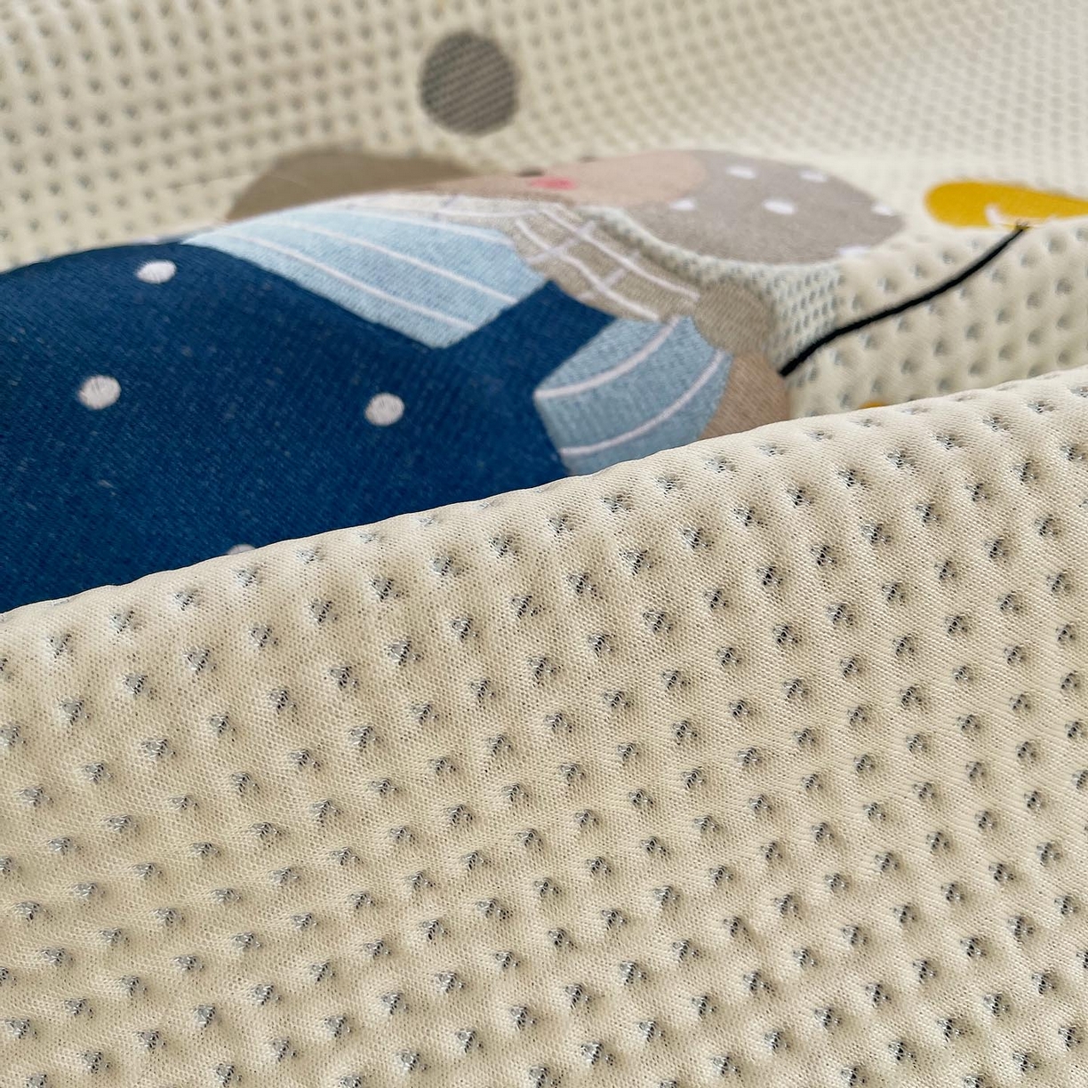 91家纺网 家纺一手货源 找家纺 帅露家纺 2026新款A类PE中分子卡通大版绣花软凉席席子 床笠款-波点日记