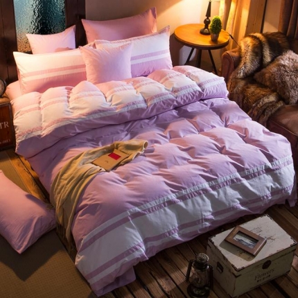 (总)紫韵阁家纺 32支生态活性喷气磨毛四件套床单款