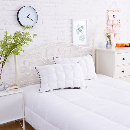 瑞莉安枕芯 面包羽丝绒枕24格