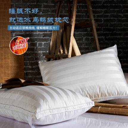晋瑞 红顶鹅绒馆真丝棉提花冰岛羽绒枕芯鹅绒枕