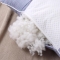 91家纺网 家纺一手货源 找家纺 瑞莉安枕芯 韩版决明子定型护颈枕（一网）