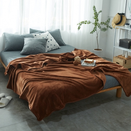 2025新款纯色金貂绒毯法兰绒毯子加厚法莱绒1.5KG公斤咖啡色