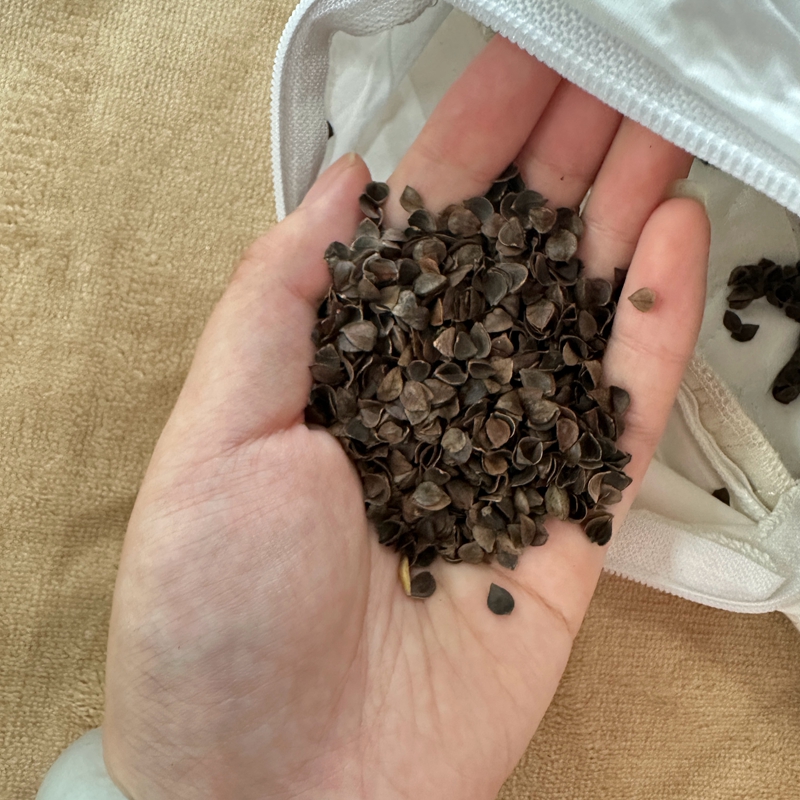 91家纺网 家纺一手货源 找家纺 （总）昕科 2022新款A类亲子亚麻荞麦枕枕芯枕头-实拍