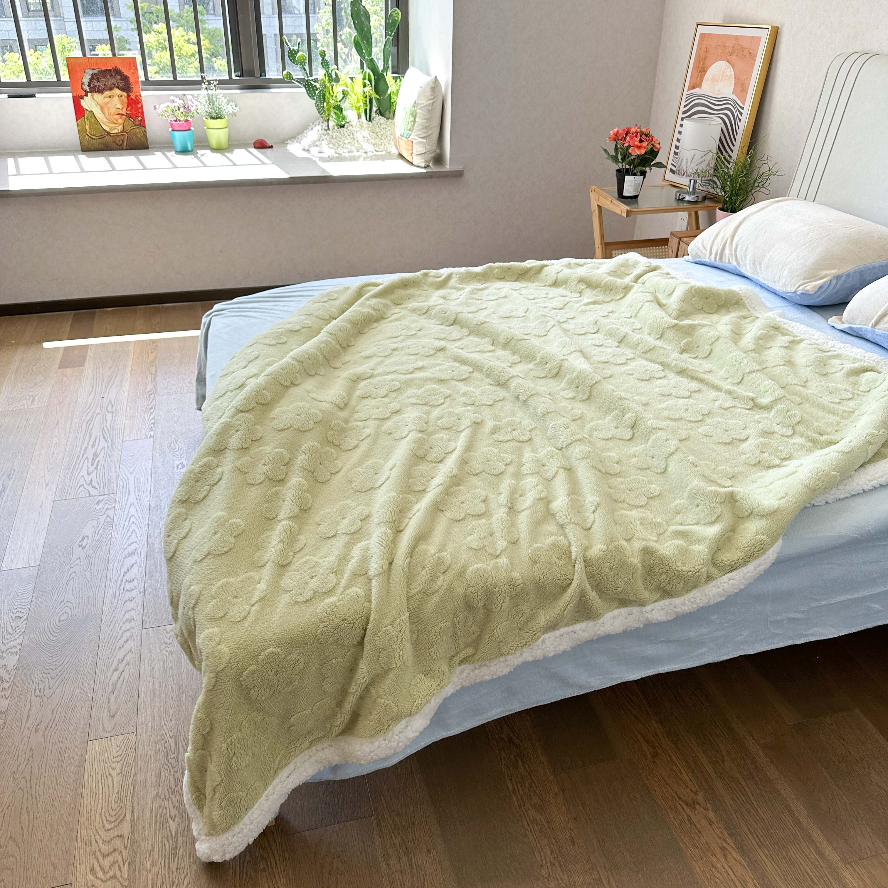 91家纺网 家纺一手货源 找家纺 呗旺鹿2022新A类双面塔芙绒羊羔绒毛毯盖毯子 浅浅花漾-绿