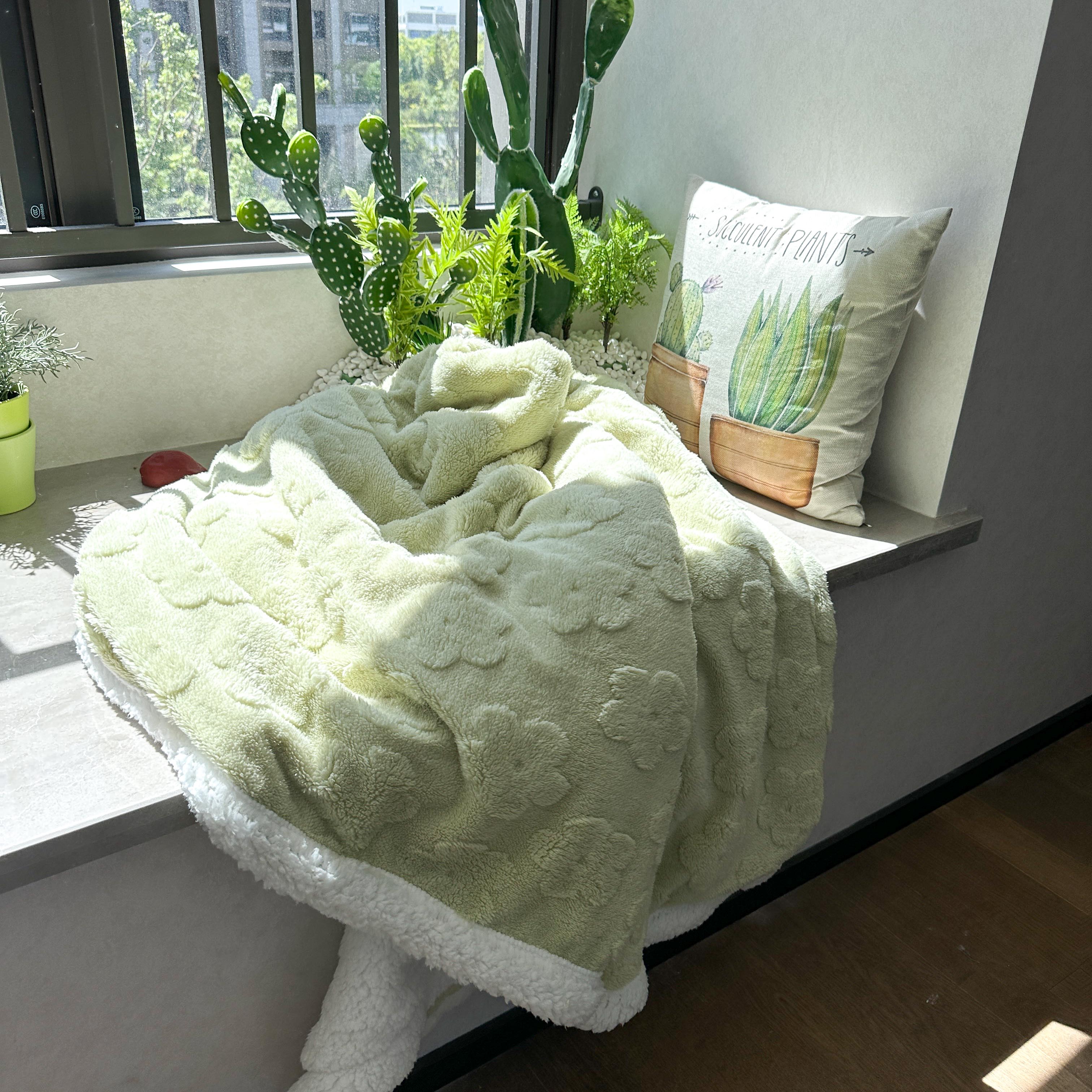 91家纺网 家纺一手货源 找家纺 呗旺鹿2022新A类双面塔芙绒羊羔绒毛毯盖毯子 浅浅花漾-绿