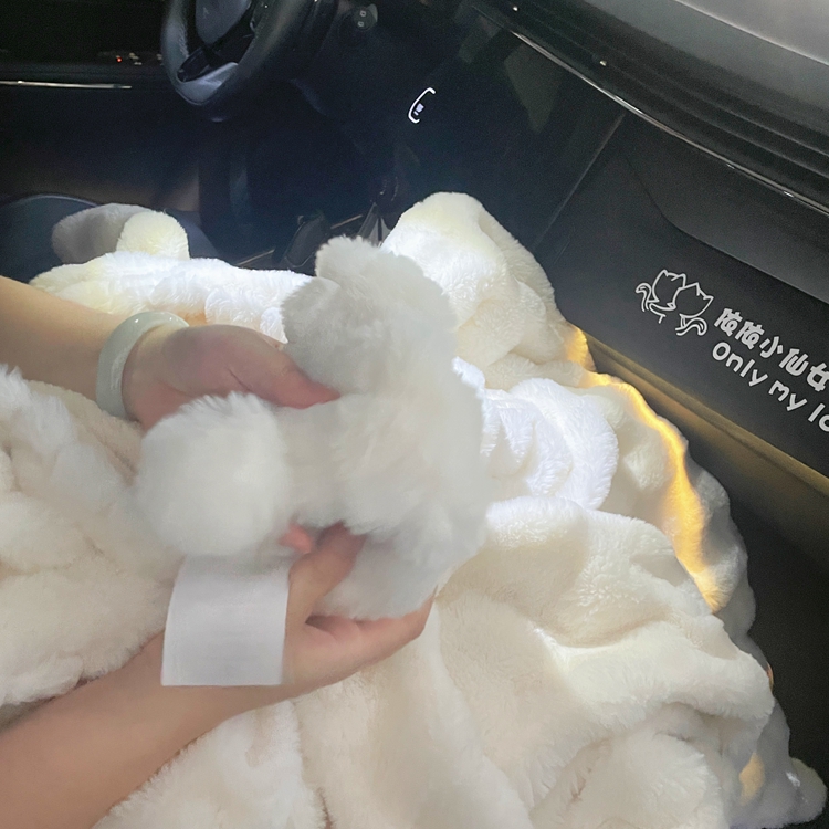 91家纺网 家纺一手货源 找家纺 潮邦创意家居 泡泡绒兔绒暖阳绒球毛毯子盖毯睡毯 球兔-米白
