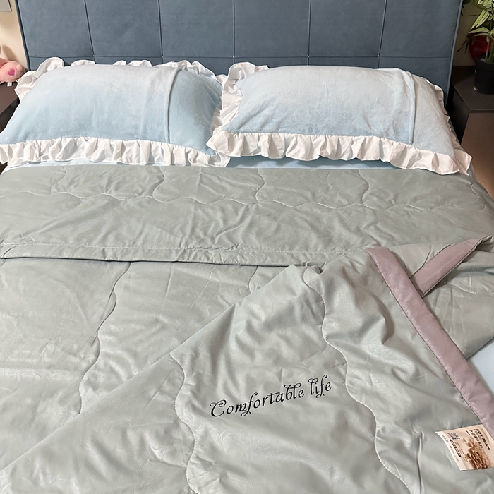 91家纺网 家纺一手货源 找家纺 壹张床 2025新款大豆纤维抗菌夏被夏凉被空调被被子被芯 浅绿