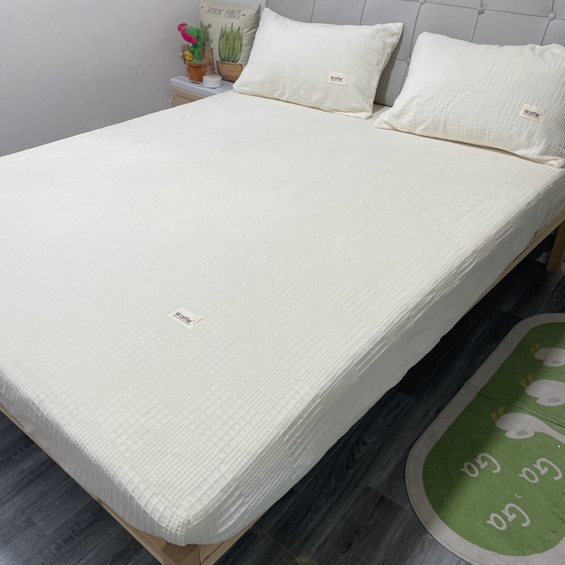 91家纺网 家纺一手货源 找家纺 （总）莱茵 2024新款A类高克重华夫格牛奶绒单床笠