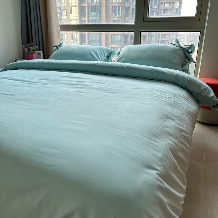 91家纺网 家纺一手货源 找家纺 春光里 2024新款蝴蝶结花边磨毛四件套 蝴蝶花边-冰蓝