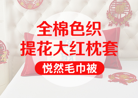 货源网 一件代发 网上商城 找家纺 悦然毛巾被 主营：毛巾被 夏被  冬被