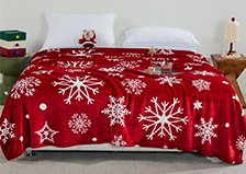 货源网 一件代发 网上商城 找家纺 昊恩毛毯 毛毯