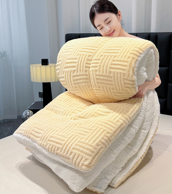 货源网 一件代发 网上商城 找家纺 蓝冰家纺 羊毛被,棉被,冬被,毛毯&盖毯