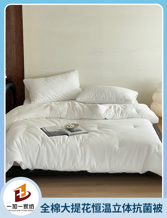 91家纺网 中国家纺 南通家纺 家纺货源 找家纺 网上商城 家纺十大品牌 一加一 夏被 春秋被 冬被；夏凉被；大豆被棉花被；被子