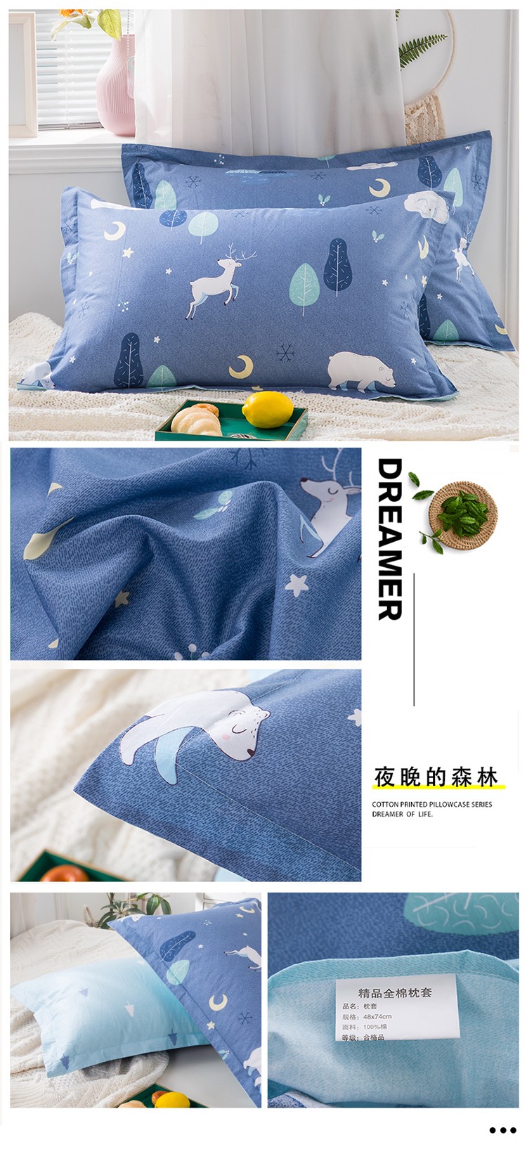 夜晚的森林  ~（小版）.jpg