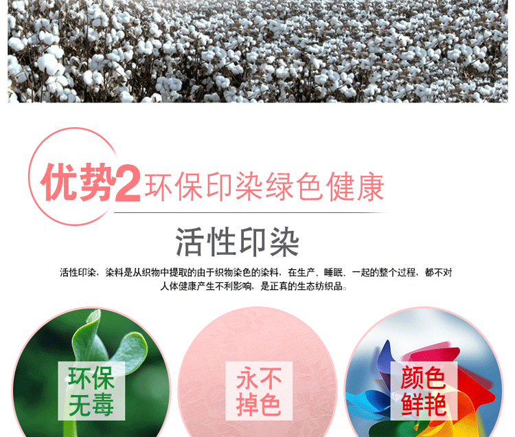 91家纺网 家纺一手货源 找家纺 金同成家纺 2025新款全棉提花蚕丝被 全棉提花-玉
