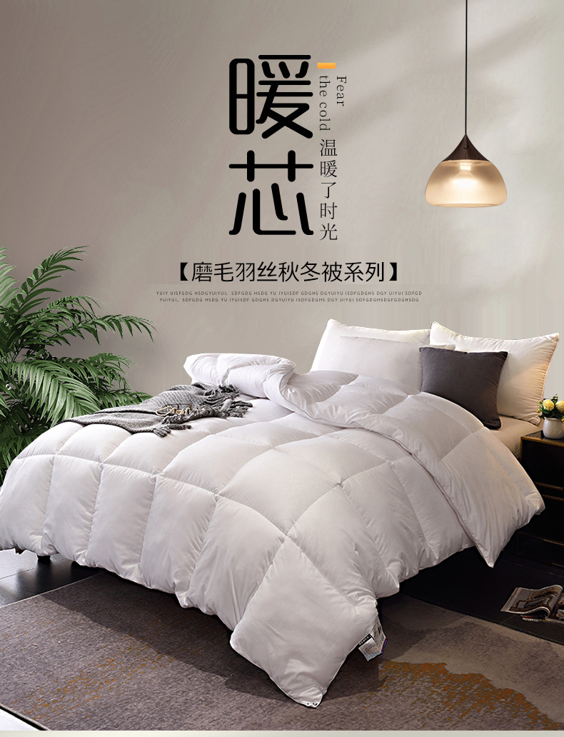 image1607602907201471.jpg 磨毛冬被790_01.jpg