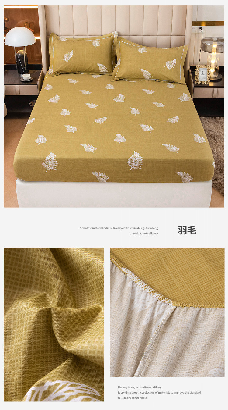 image1645174283793637.jpg 羽毛.jpg