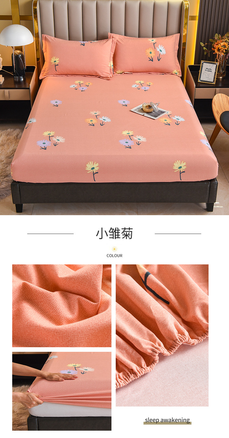 image1658549426480758.jpg 小雏菊.jpg