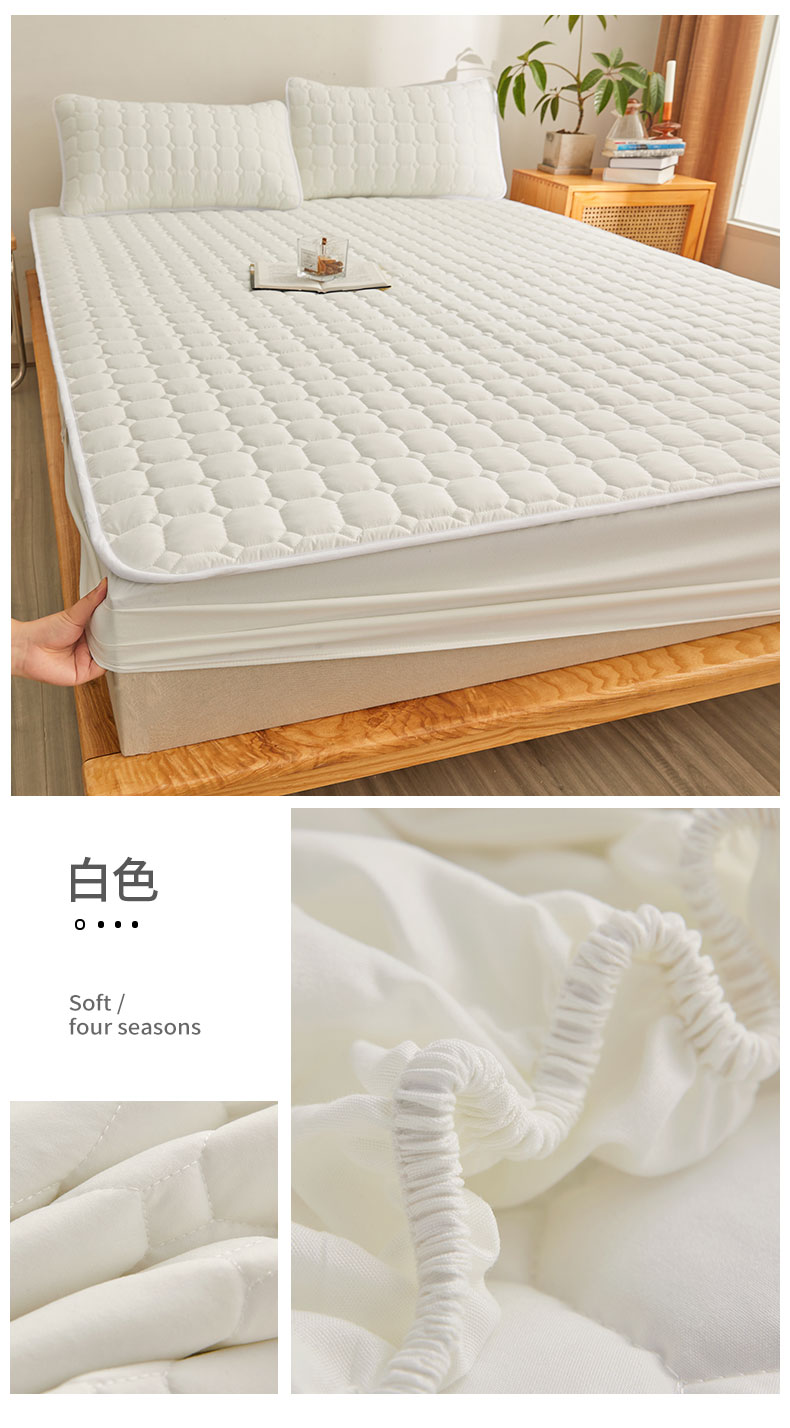 image1663472041360745.jpg 白色.jpg