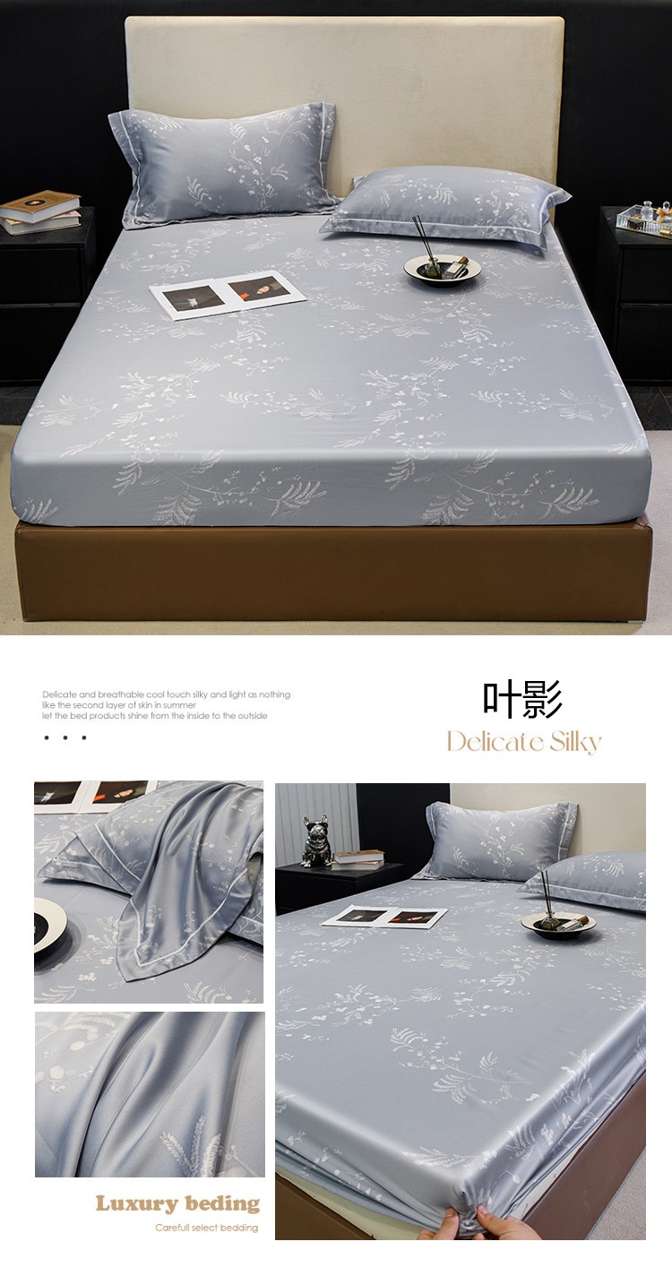 image1678084438724942.jpg 叶影.jpg